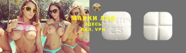 ALPHA-PVP Алексеевка