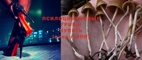 молекула духа Алзамай
