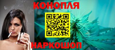 шишки Апшеронск