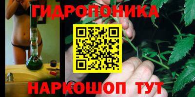 шишки Апшеронск