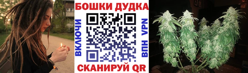 Марихуана SATIVA & INDICA  где продают наркотики  Благодарный 